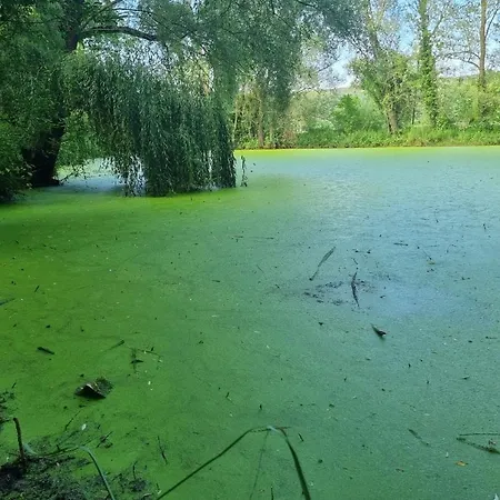 Apartment Taocasa Metal