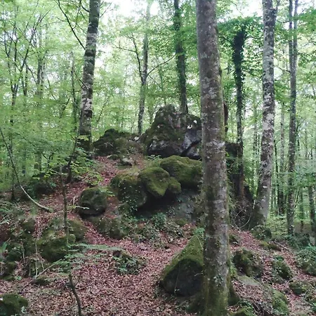 Taocasa Metal Olot