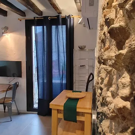 Taocasa Metal Apartment Olot